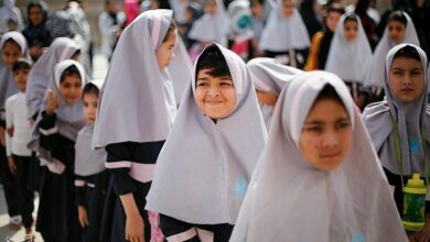 توزیع شیر رایگان بین 8.5 میلیون دانش‌آموز کشور