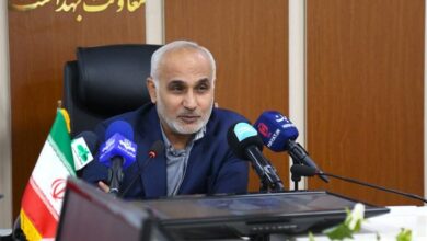 جریان‌هایی در جهان قصد فروپاشی خانواده را دارند/ لزوم اصلاح باورهای ضدفرزندآوری