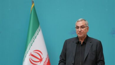 عین‌اللهی در پاسخ به تسنیم: مردم در روزهای پایانی سال اعمال جراحی زیبایی انجام ندهند