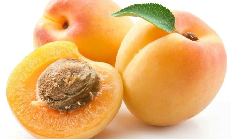 خواص زردآلو