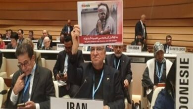 عین‌اللهی در ژنو: سیستم بهداشتی فلسطین زیر آتش است