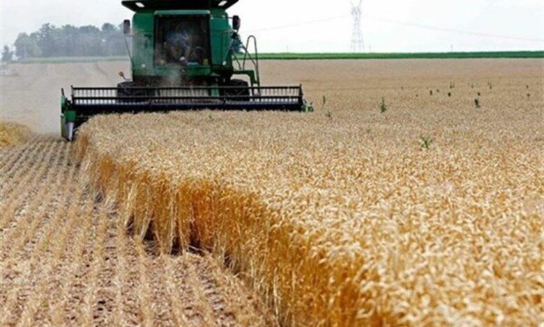 دلیل تاخیر واریز پول گندم کاران