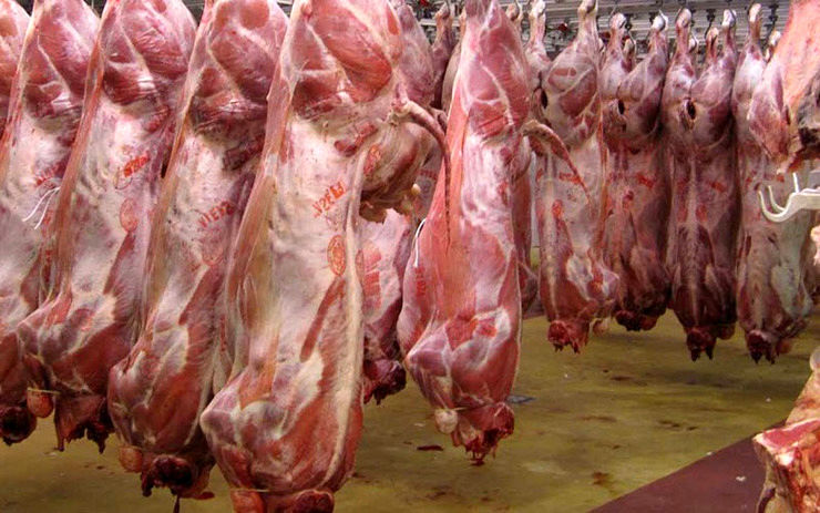 قیمت جدید گوشت گوسفندی / گوشت آبگوشتی کیلویی چند؟