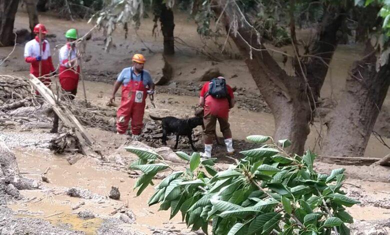 ماجرای کشف جوان مفقودشده پس از ۲ روز