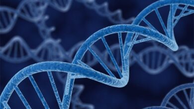 واکنش پزشکی قانونی به چرایی تاخیر در اعلام آزمایشات "DNA"