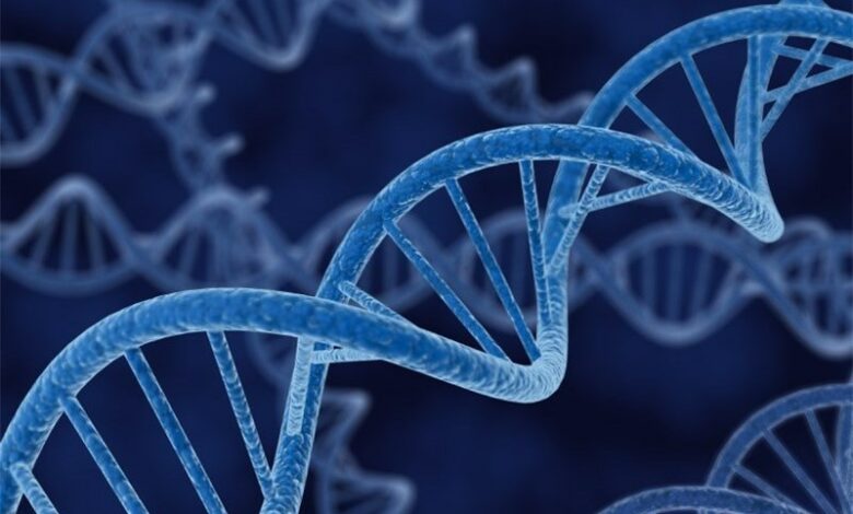 واکنش پزشکی قانونی به چرایی تاخیر در اعلام آزمایشات "DNA"