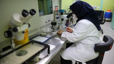 چرا "محرمانگی کامل" در جریان "اهدای تخمک" حاکم است؟