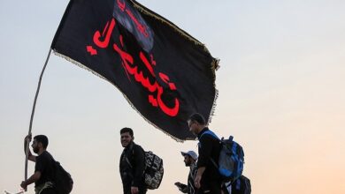خدمت‌رسانی 6000 پزشک و کادر درمان در 161 موکب درمانی