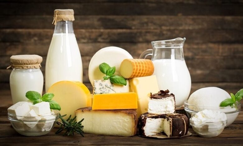 ایرادات ممنوعیت مصرف شیر در طب سنتی چیست/ لبنیات چه مزایایی دارد؟