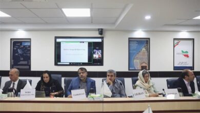 برگزاری نشست ایران و کشورهای G5 درباره آبله میمونی و تب دنگی