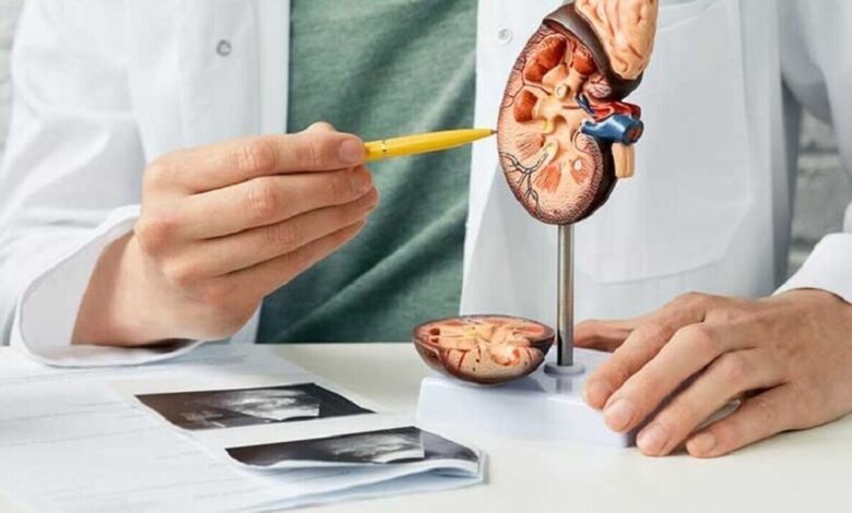 این دسته از زنان باید مراقب خطر ابتلا به سنگ کلیه باشند!