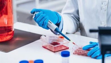 تولید فرآروده سلول‌درمانی برای بقای بیماران پیوند مغزاستخوان