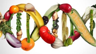 درج عبارت "تراریخته" روی محصولات GMO الزامی است