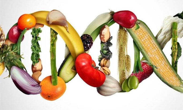 درج عبارت "تراریخته" روی محصولات GMO الزامی است