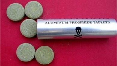 فروش &quot;قرص برنج&quot; ممنوع است/ علائم مسمومیت با حشره‌کش‌ها