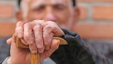 چالش های سالمندی در ایران/ 80 درصد سالمندان بیمار هستند - خبرگزاری مهر ایران و جهان