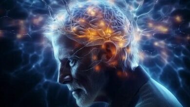 چگونه شروع آلزایمر را به تاخیر بیندازیم؟ - خبرگزاری مهر اخبار ایران و جهان