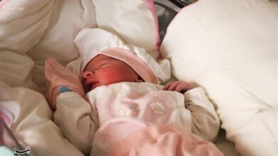 کاهش تصادفات در جوانی جمعیت تأثیرگذار است