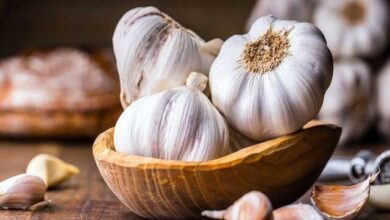 آیا بلعیدن حبه سیر خام مضر است؟