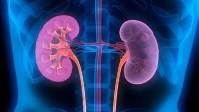 بهترین رژیم غذایی برای بیماری کلیوی