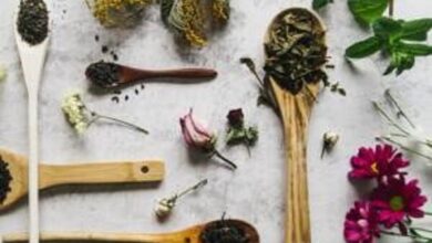 تاثیر گیاهان دارویی در پاکسازی بدن/ اصل کلیدی درمان با طب سنتی - خبرگزاری مهر ایران و جهان