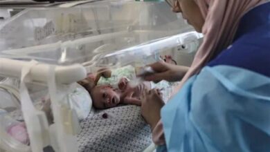 تلاش برای ثبت جهانی 8 آذر به‌عنوان روز کشتار نوزادان غزه