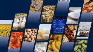 جلوگیری از توزیع محصولات با رنگ خوراکی غیرمجاز