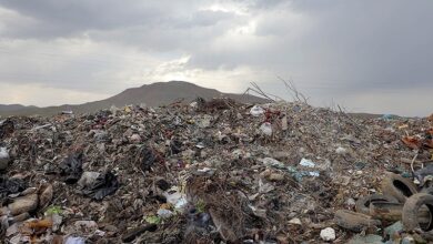 خطر آلودگی محیط زیست در پی دفع نادرست داروها