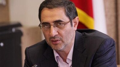 رئیس دبیرخانه شورای­‌عالی سلامت و امنیت غذایی منصوب شد