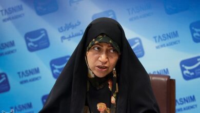 ظرفیت بالای ایران برای درآمدزایی از تولید داروهای گیاهی