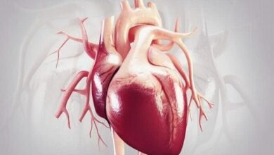 مهم‌ترین عوامل خطر بیماری‌های قلبی را بشناسید