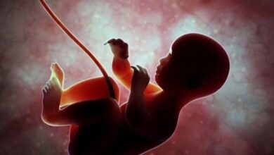 آلودگی هوا به مغز جنین آسیب می‌رساند