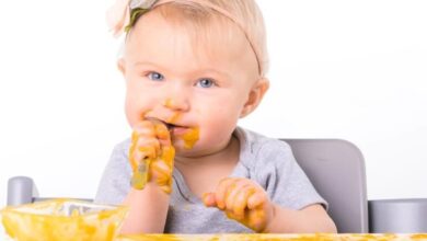 ۷ غذای مفید برای مغز کودکان