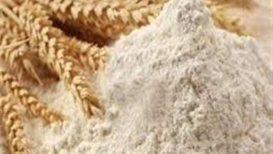 بازنگری برنامه ملی غنی‌سازی آرد گندم با آهن و اسید فولیک