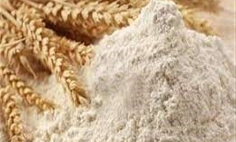 بازنگری برنامه ملی غنیسازی آرد گندم با آهن و اسید فولیک
