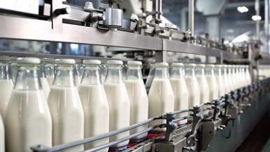 سرانه مصرف گوشت در کشور 35 گرم است/مصرف لبنیات نصف استاندارد