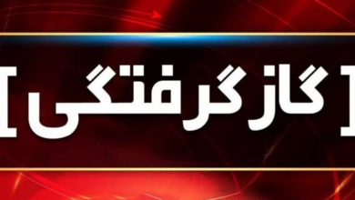 مرگ 7 شهروند تهرانی براثر گازگرفتگی طی هفته گذشته