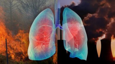 مرگ زودرس با ترکیب هوای آلوده و ویروس های تنفسی!