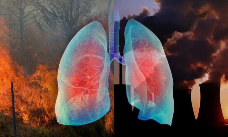 مرگ زودرس با ترکیب هوای آلوده و ویروس های تنفسی!