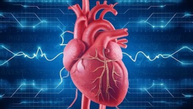 آریتمی قلبی چیست؟/خطر بی‌نظمی ضربان قلب