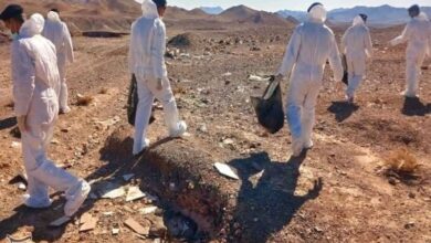 ابتلای 1051 نفر در کشور به تب دنگی/صید پشه آئدس در 9 استان