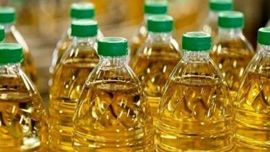 بهترین روغن برای مصرف خانگی کلزا و کلزا است