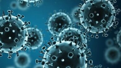 شیوع آنفلوانزایH1N1 در کشور/فروکش بیماری تا 2 هفته آینده