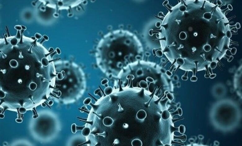 شیوع آنفلوانزایH1N1 در کشور/فروکش بیماری تا 2 هفته آینده