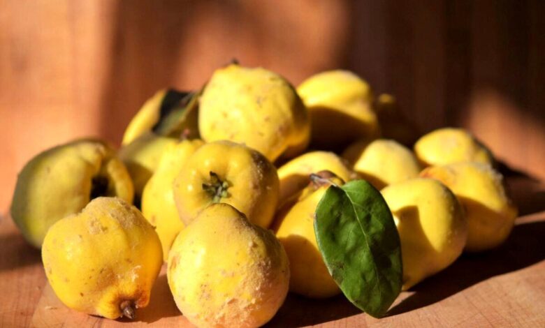 با خواص شگفت انگیز از