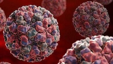 عضو کمیسیون بهداشت: شیوع ویروس چینی در ایران صحت ندارد