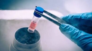 فریز تخمک؛ راهی برای حفظ باروری در سنین بالا