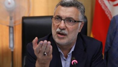 وزیر بهداشت: ویروس جدید چینی وارد ایران نشده است - خبرگزاری مهر ایران و جهان