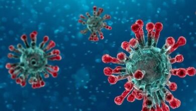 ویژگی‌های ویروس شایع‌شده در چین/ راه‌های انتقال HMPV