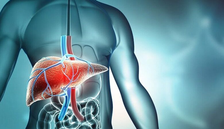 برای پاک کردن کبد چه می توانیم بخوریم؟ + تأثیر عرق کاسنی بر روی کبد